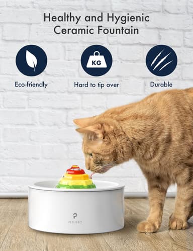 Petlibro Rainbow vesilähde lemmikeille
