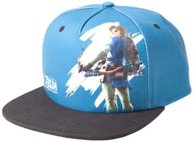 The Legend of Zelda: Breath of the Wild lippalakki - Link
