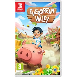 Everdream Valley (Switch)
