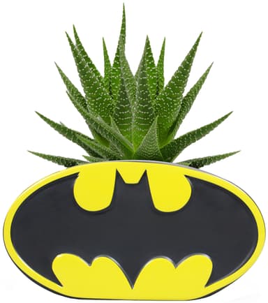 Play Batman kukkaruukku