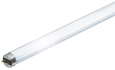 Philips loisteputki TLD18W840