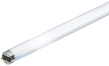 Philips loisteputki TLD58W840