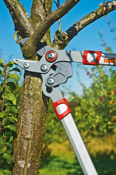 WOLF-Garten RS 750 Raivaussakset