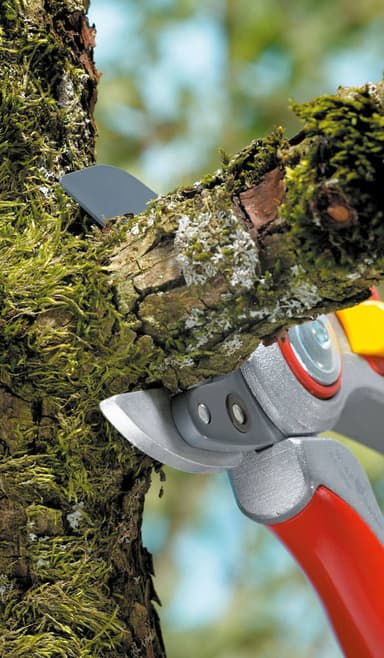 WOLF-Garten Puutarhasakset RS 5000