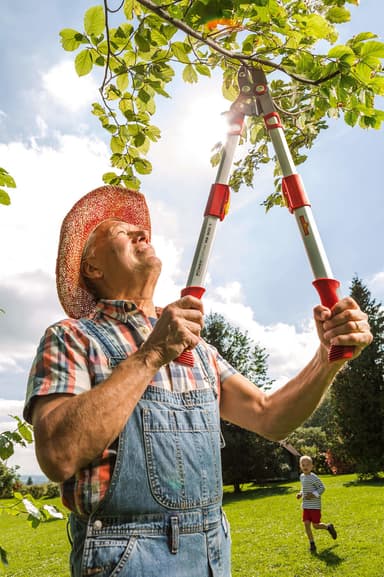 WOLF-Garten RS 900 T Raivaussakset