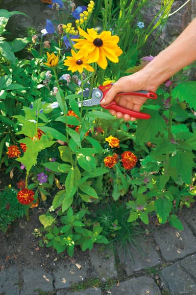 WOLF-Garten Puutarhasakset RS 2500