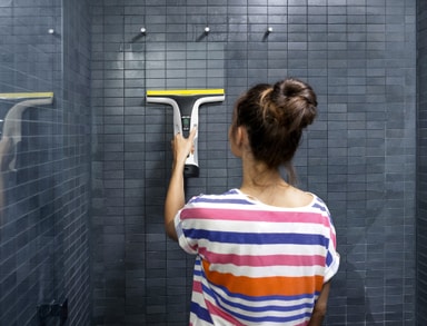 Kärcher WV6 Plus ikkunapesuri