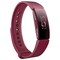 Fitbit Inspire aktiivisuusranneke (sangria)