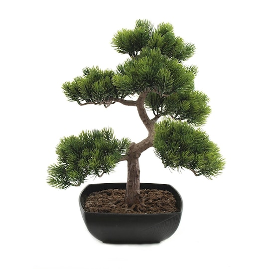 Europalms pine bonsai, 50 cm.
