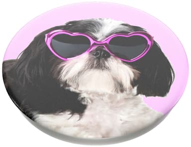PopSockets vaihtokuori (Sassy shih tzu)