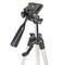 Kamera/videoteline Pan & Tilt, max 3 kg, 127 cm - Hopea