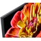 Sony 49" XG95 4K UHD LED Smart TV KD49XG9005