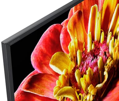 Sony 49" XG95 4K UHD LED Smart TV KD49XG9005