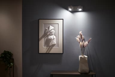 Philips Hue Argenta spottivalot valkoinen 2x5,7 W 230V