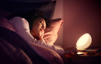 Philips Hue Go WCA kannettava valaisin 12V