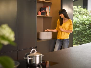 Harman Kardon Citation 500 kaiutin (harmaa)