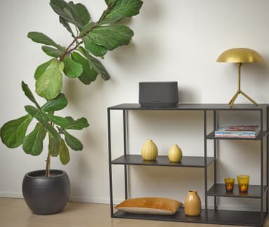 Harman Kardon Citation 300 kaiutin (musta)