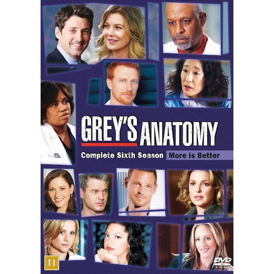 Greyn anatomia - kausi 6 (DVD)