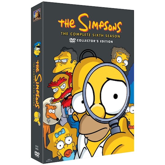 Simpsons - Kausi 6 (DVD)