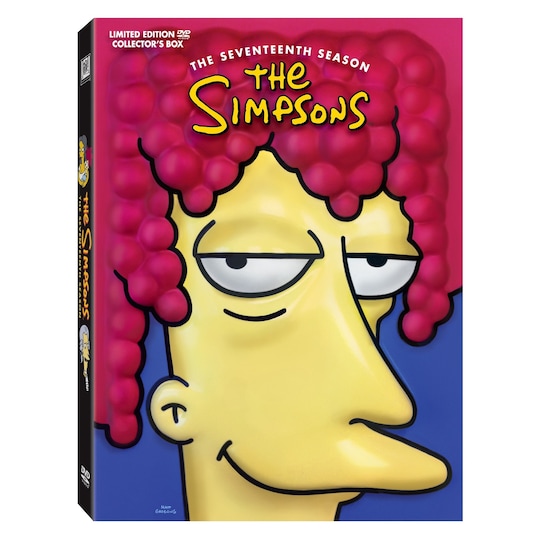 The Simpsons - Kausi 17 HEAD versio (DVD)