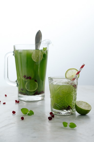 Wilfa Raw Fuel tehosekoitin PB 1200-S