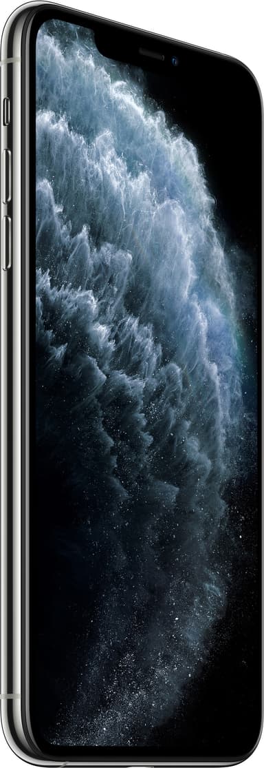 iPhone 11 Pro Max 64 GB (hopea)