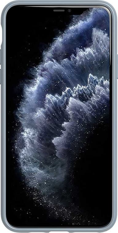 Tech21 Colour Studio suojakuori Apple iPhone 11 Pro Max (harmaa)