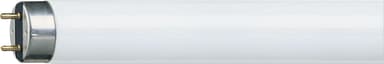 Philips Master TL-D loistevaloputki PHITLD15W830