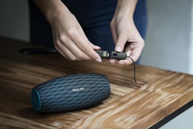 Philips kannettava langaton kaiutin BT6900A/00 (sin.)