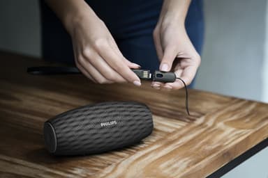 Philips kannettava langaton kaiutin BT6900B/00 (musta)