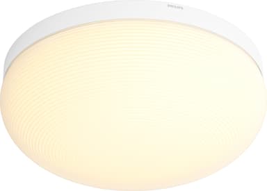 Philips Hue Flourish kattovalaisin 4090531P9