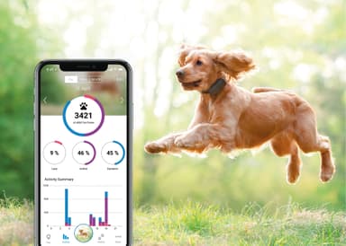 Tractive GPS koiran paikannin