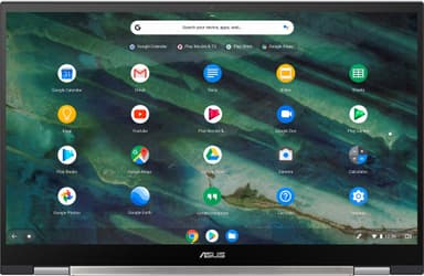 Asus Chromebook Flip C436 14" 2-in-1 kannettava (hopea/musta)