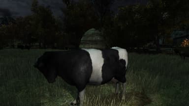 The Cows Are Watching - PC Windows