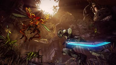 Borderlands 2 - PC Windows,Mac OSX,Linux