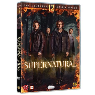 Supernatural - Kausi 12 (DVD)