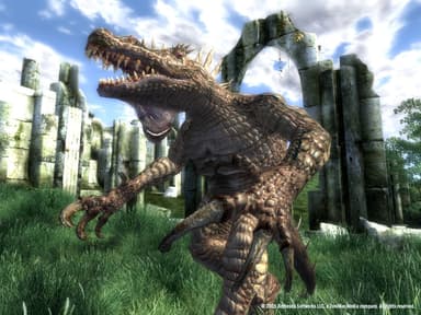 The Elder Scrolls IV Oblivion Game of the Year Edition - PC Windows