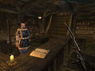 The Elder Scrolls III Morrowind Game of the Year Edition - PC Window