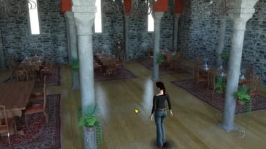 Hotel Collectors Edition - PC Windows,Mac OSX