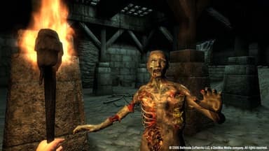 The Elder Scrolls IV Oblivion Game of the Year Edition - PC Windows