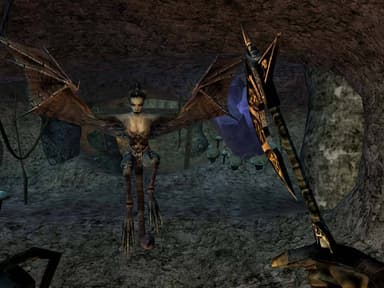 The Elder Scrolls III Morrowind Game of the Year Edition - PC Window