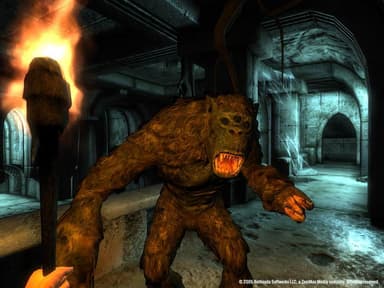The Elder Scrolls IV Oblivion Game of the Year Edition - PC Windows