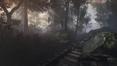 The Vanishing of Ethan Carter - PC Windows