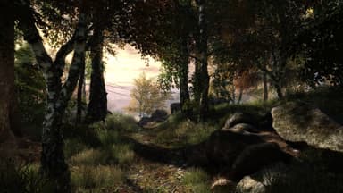 The Vanishing of Ethan Carter - PC Windows