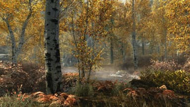 The Elder Scrolls V Skyrim Special Edition - PC Windows