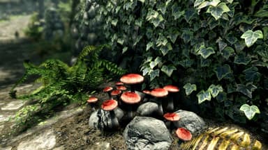 The Elder Scrolls V Skyrim Special Edition - PC Windows
