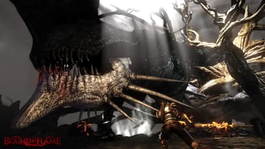 Bound by Flame - PC Windows