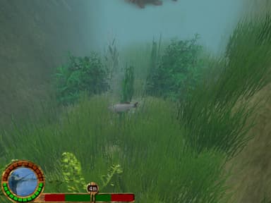 European Fishing - PC Windows