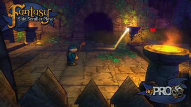 Axis Game Factory's AGFPRO Fantasy Side-Scroller Player - PC Windows,M