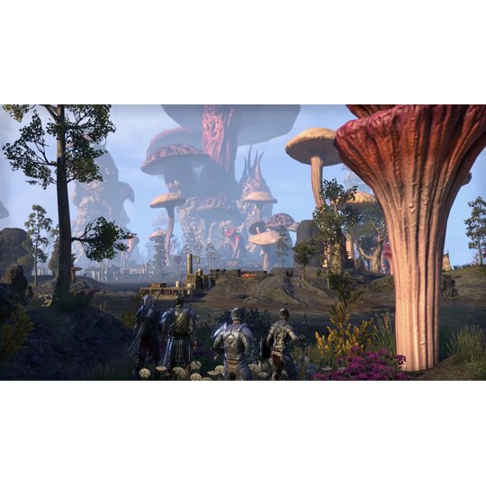 The Elder Scrolls Online - Morrowind Digital Collector’s Edition - PC